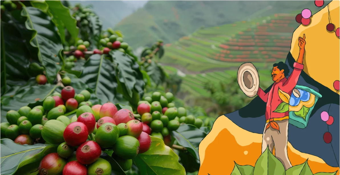 ¿Por qué el café colombiano es el mejor café del mundo?